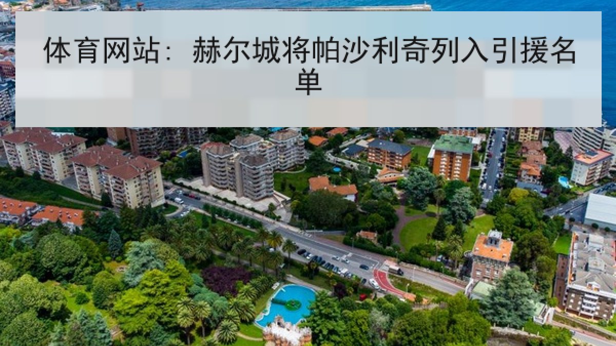 体育网站: 赫尔城将帕沙利奇列入引援名单 体育网站: 赫尔城将帕沙利奇列入引援名单