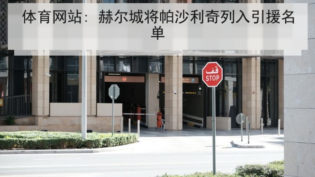 体育网站: 赫尔城将帕沙利奇列入引援名单