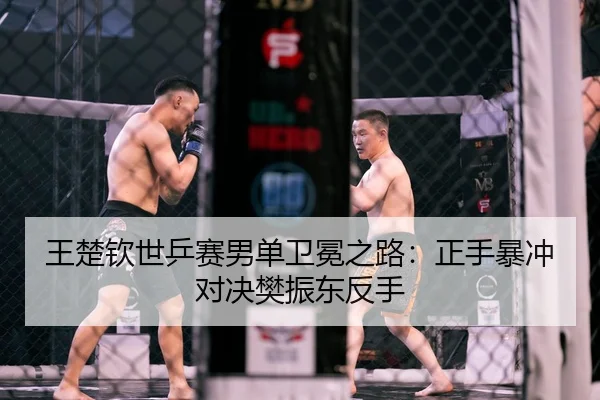 wang-chu-qin-shi-ping-sai-nan-dan-wei-mian-zhi-lu-zheng-shou-bao-chong-dui-jue-fan-zhen-dong-fan-shou-2-263.jpg