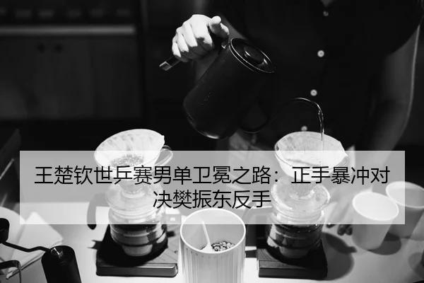 王楚钦世乒赛男单卫冕之路：正手暴冲对决樊振东反手