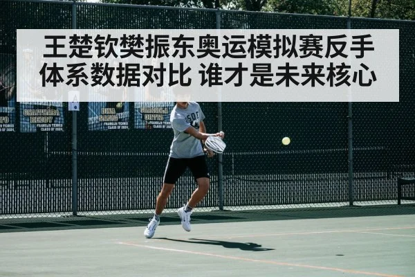 王楚钦樊振东奥运模拟赛反手体系数据对比 谁才是未来核心